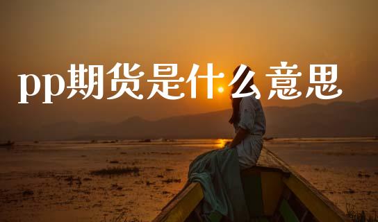 pp期货是什么意思_https://m.15771688.com_期货手续费_第1张