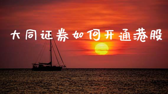 大同证券如何开通港股_https://m.15771688.com_期货手续费_第1张