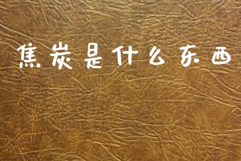 焦炭是什么东西_https://m.15771688.com_期货手续费_第1张