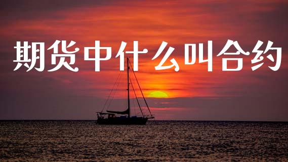 期货中什么叫合约_https://m.15771688.com_期货手续费_第1张