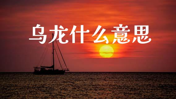 乌龙什么意思_https://m.15771688.com_期货开户_第1张