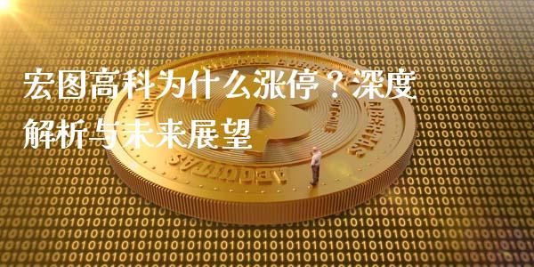 宏图高科为什么涨停？深度解析与未来展望_https://m.15771688.com_期货开户_第1张