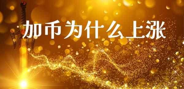 加币为什么上涨_https://m.15771688.com_期货开户_第1张