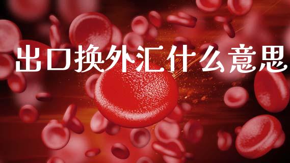 出口换外汇什么意思_https://m.15771688.com_美国道指_第1张