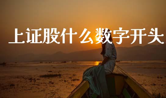 上证股什么数字开头_https://m.15771688.com_道指实时行情_第1张