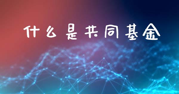 什么是共同基金_https://m.15771688.com_期货手续费_第1张