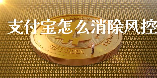 支付宝怎么消除风控_https://m.15771688.com_道指实时行情_第1张