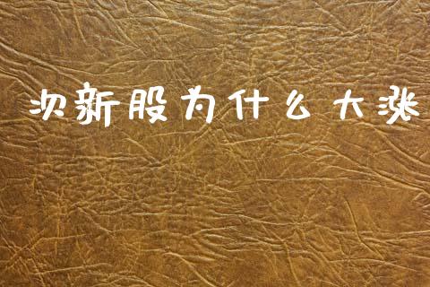 次新股为什么大涨_https://m.15771688.com_期货手续费_第1张