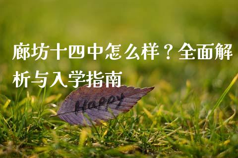 廊坊十四中怎么样？全面解析与入学指南_https://m.15771688.com_期货手续费_第1张