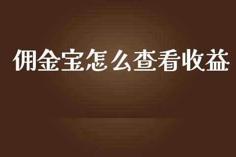 佣金宝怎么查看收益_https://m.15771688.com_美国道指_第1张
