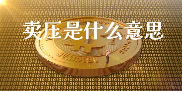 卖压是什么意思_https://m.15771688.com_期货手续费_第1张