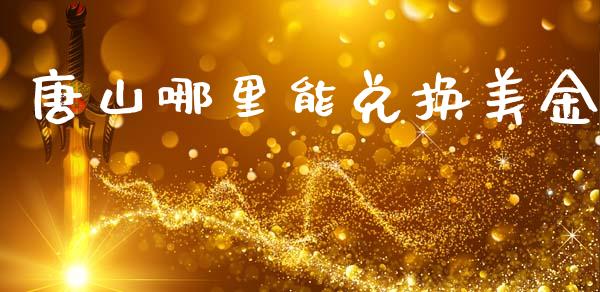 唐山哪里能兑换美金_https://m.15771688.com_道指实时行情_第1张