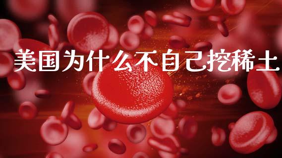 美国为什么不自己挖稀土_https://m.15771688.com_美国道指_第1张