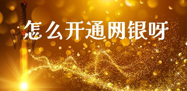 怎么开通网银呀_https://m.15771688.com_道指实时行情_第1张