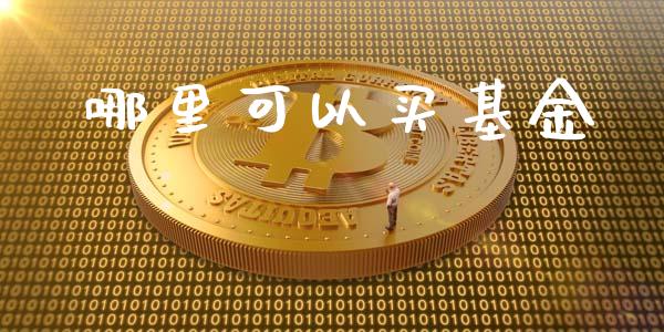 哪里可以买基金_https://m.15771688.com_道指实时行情_第1张