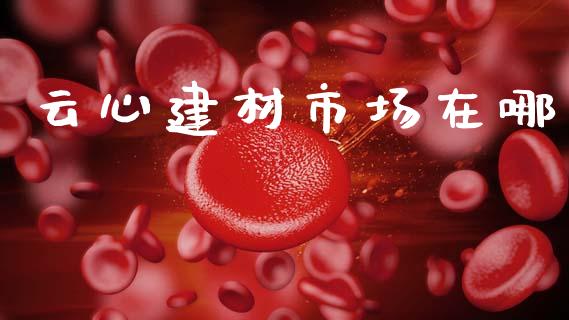 云心建材市场在哪_https://m.15771688.com_道指实时行情_第1张