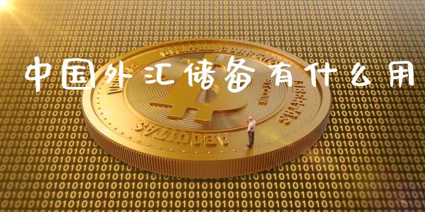 中国外汇储备有什么用_https://m.15771688.com_美国道指_第1张