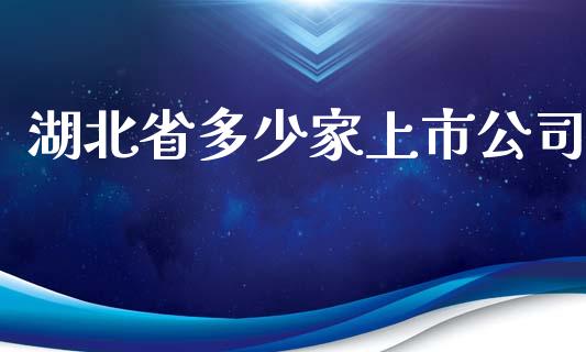 湖北省多少家上市公司_https://m.15771688.com_期货开户_第1张