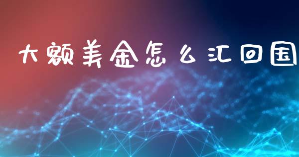 大额美金怎么汇回国_https://m.15771688.com_期货手续费_第1张