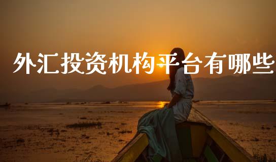 外汇投资机构平台有哪些_https://m.15771688.com_期货开户_第1张