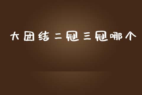 大团结二冠三冠哪个_https://m.15771688.com_期货开户_第1张