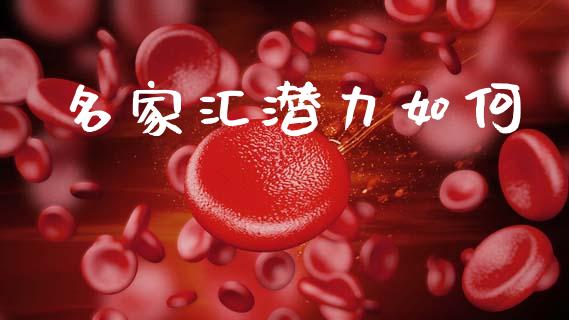名家汇潜力如何_https://m.15771688.com_道指实时行情_第1张