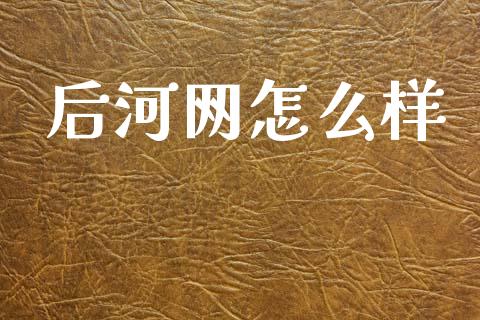 后河网怎么样_https://m.15771688.com_期货开户_第1张