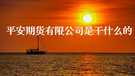 平安期货有限公司是干什么的_https://m.15771688.com_期货开户_第1张