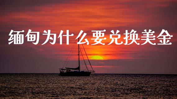 缅甸为什么要兑换美金_https://m.15771688.com_期货手续费_第1张