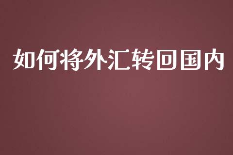 如何将外汇转回国内_https://m.15771688.com_美国道指_第1张