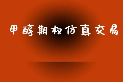 甲醇期权仿真交易_https://m.15771688.com_期货手续费_第1张