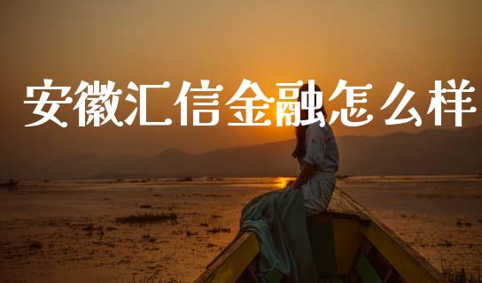安徽汇信金融怎么样_https://m.15771688.com_期货开户_第1张