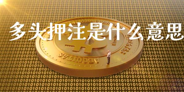 多头押注是什么意思_https://m.15771688.com_期货手续费_第1张
