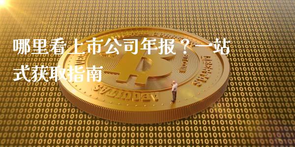 哪里看上市公司年报？一站式获取指南_https://m.15771688.com_期货手续费_第1张