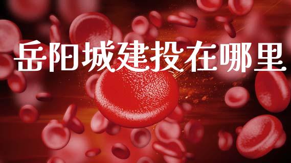 岳阳城建投在哪里_https://m.15771688.com_美国道指_第1张