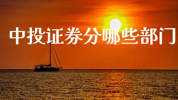中投证券分哪些部门_https://m.15771688.com_道指实时行情_第1张