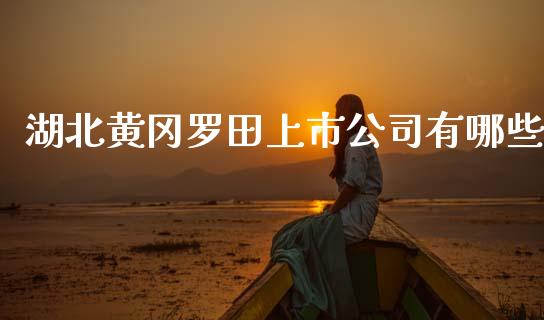 湖北黄冈罗田上市公司有哪些_https://m.15771688.com_期货开户_第1张