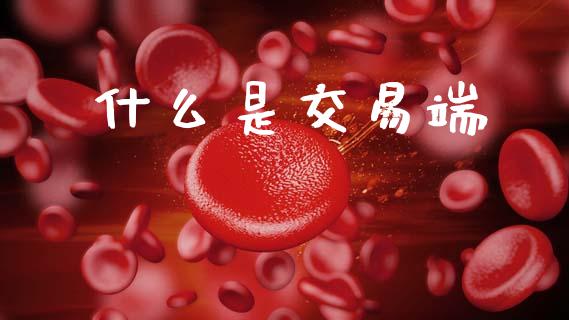 什么是交易端_https://m.15771688.com_期货开户_第1张