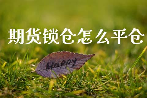 期货锁仓怎么平仓_https://m.15771688.com_道指实时行情_第1张