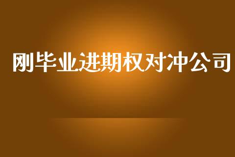 刚毕业进期权对冲公司_https://m.15771688.com_道指实时行情_第1张