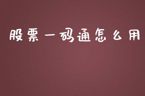 股票一码通怎么用_https://m.15771688.com_美国道指_第1张