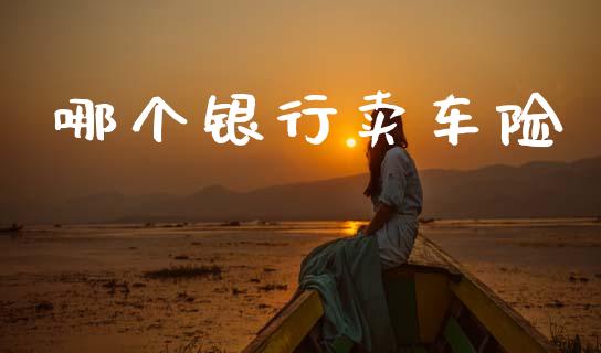 哪个银行卖车险_https://m.15771688.com_期货手续费_第1张