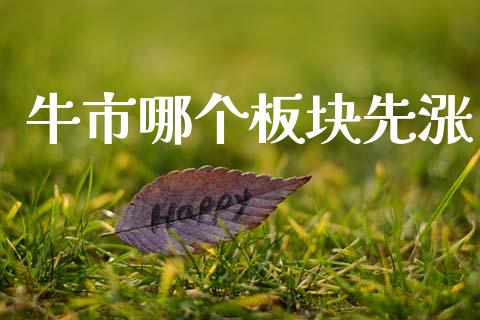 牛市哪个板块先涨_https://m.15771688.com_期货开户_第1张