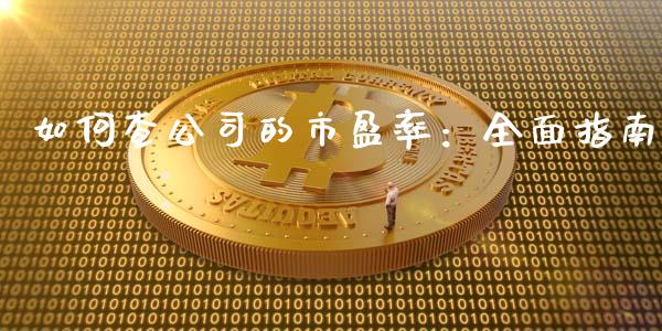 如何查公司的市盈率：全面指南_https://m.15771688.com_美国道指_第1张