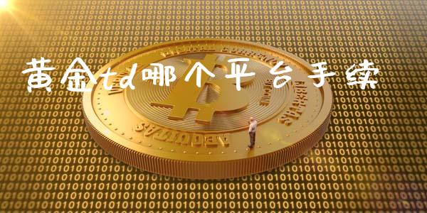黄金td哪个平台手续_https://m.15771688.com_期货开户_第1张