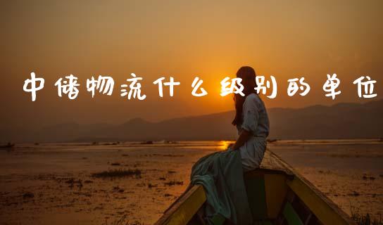 中储物流什么级别的单位_https://m.15771688.com_期货手续费_第1张