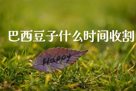 巴西豆子什么时间收割_https://m.15771688.com_期货手续费_第1张