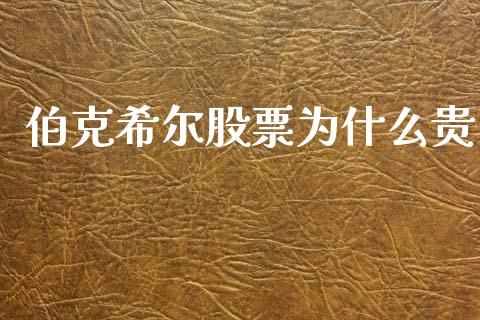 伯克希尔股票为什么贵_https://m.15771688.com_美国道指_第1张