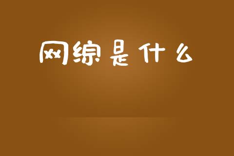 网综是什么_https://m.15771688.com_期货开户_第1张