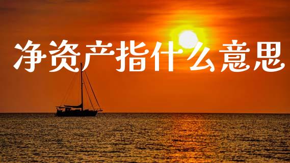 净资产指什么意思_https://m.15771688.com_期货手续费_第1张
